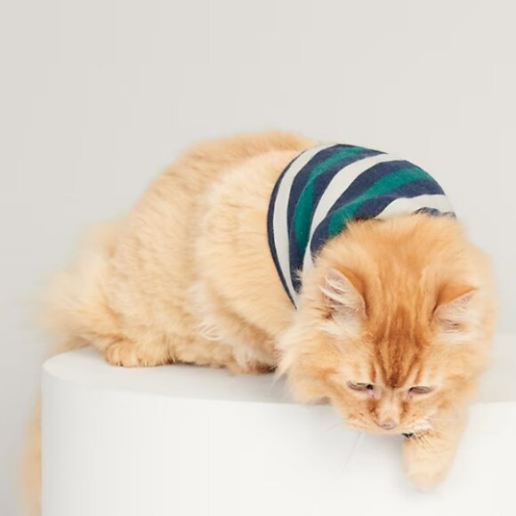 Old Navy Red & Green Stripe Patterned Flannel Bandana for Pets (Cats/Dog) NWT - Picture 15 of 15